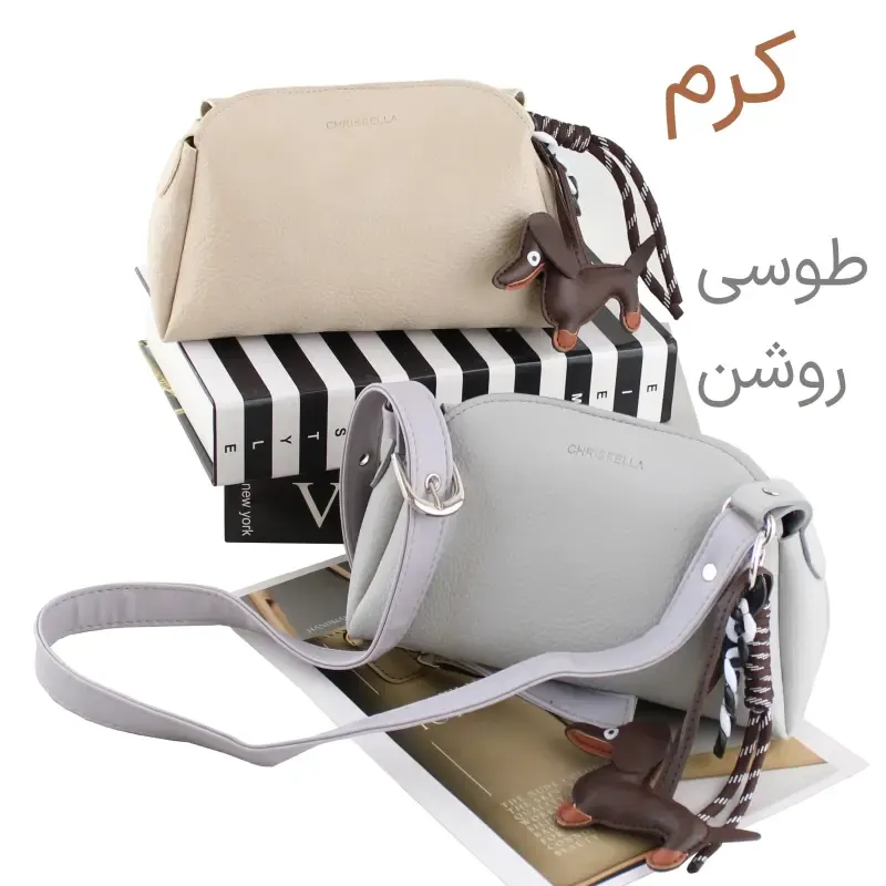 کیف پاسپورتی چرم مصنوعی اسپرت روزمره زنانه بند بلند مگنت بسته شدن - تصویر 3