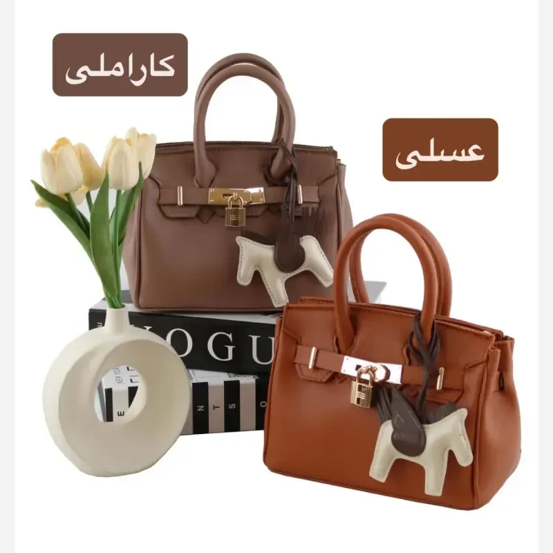 کیف پاسپورتی چرم مصنوعی زنانه اسپرت روزمره مجلسی - تصویر 10