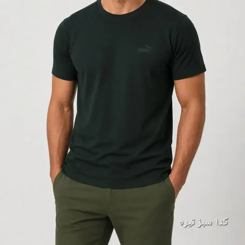 تیشرت مردانه بیسیک نخ پنبه ساده تابستانه در 16 رنگ سایز لارج تا چهار ایکس لارج - تصویر 3